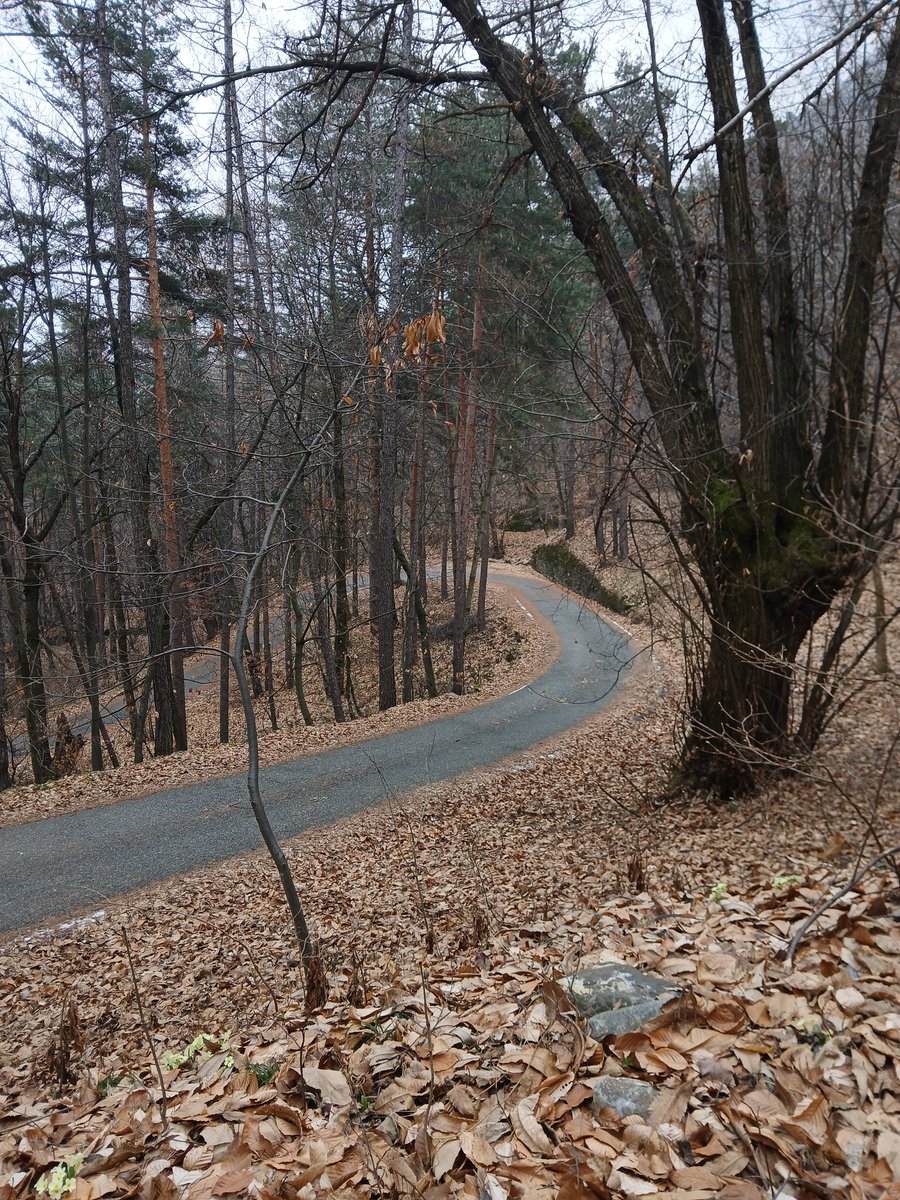 Rúben Silva tweet media