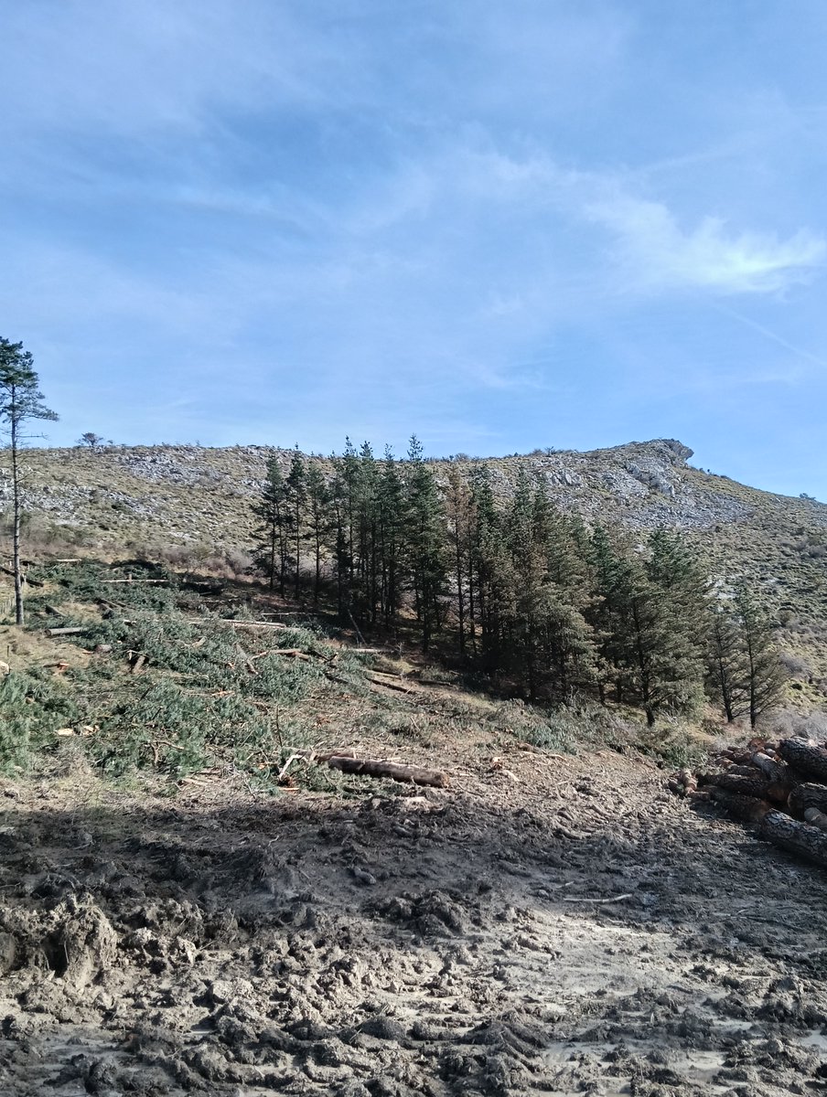 mendira_eus's tweet photo. 📢Igoera berria webgunean:
🗻 Garaio (574 m)
🏡 Indusi-tik (Dima)
🚶‍♀️2,15 km
🔼312 m

📢Nueva ruta en la web:
🗻 Garaio (574 m)
🏡 Desde Indusi (Dima)
🚶‍♀️2,15 km
🔼312 m

🔗Wikiloc: https://t.co/68e9MyeHPJ

#mendira #euskalmendiak #mendiak #montes #montaña #trekking #senderismo https://t.co/Gtr4SvwF27