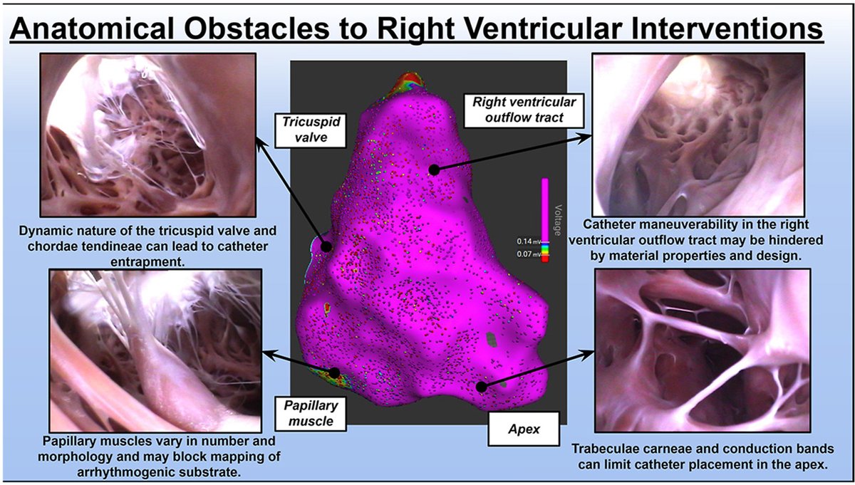 Heart Rhythm O2 tweet media