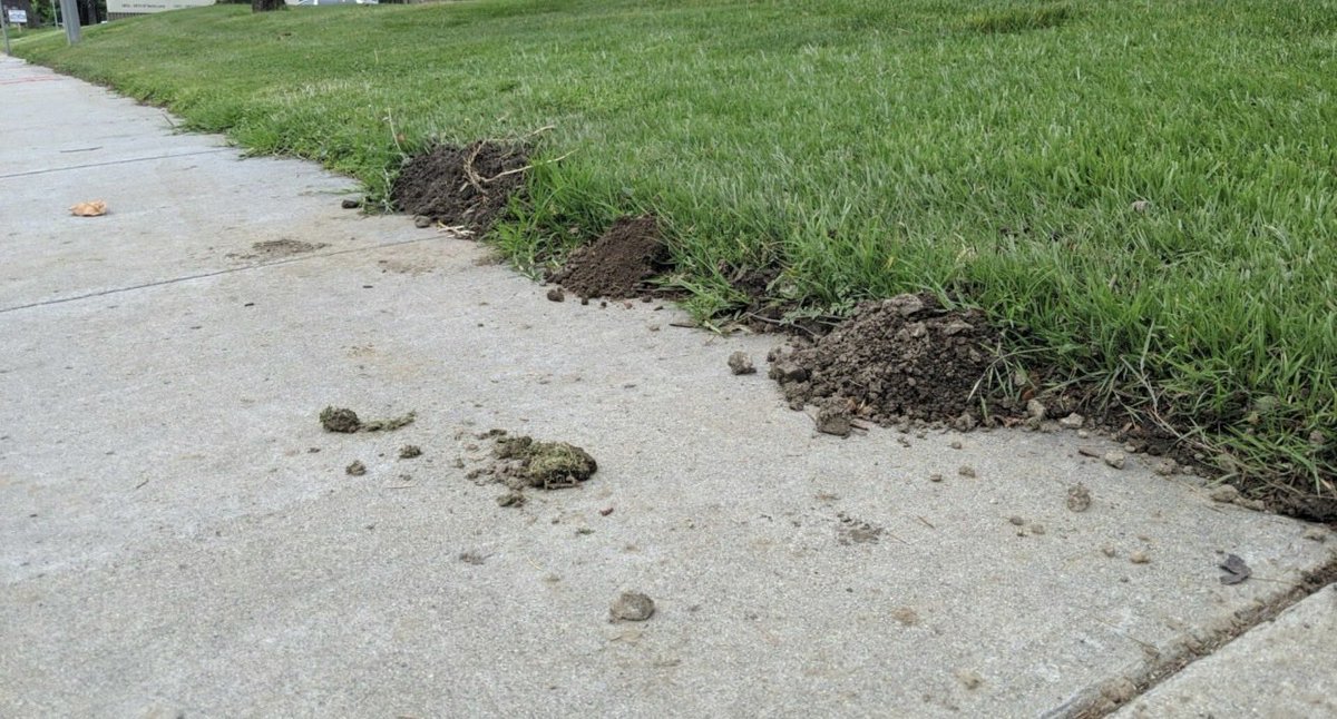 Juanita Broaddrick tweet media