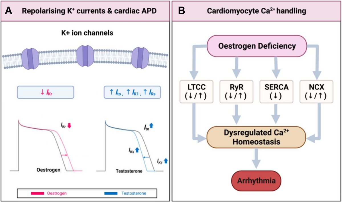 Heart Rhythm O2 tweet media