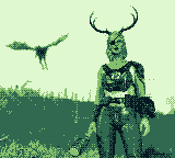 ZeroFoxFX 🦌 tweet media