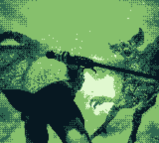 ZeroFoxFX 🦌 tweet media