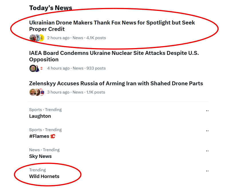 Wild Hornets are so hot right now!🐝

Er, thanks to <a href="/FoxNews/">Fox News</a> and <a href="/JesseBWatters/">Jesse Watters</a>🧐

Ironically, STINGs were developed largely with donations—and partly because of the lack of (now end to) US aid

7 ways to donate: Linktr.ee/WildHornets

Join our raffle: x.com/ArmedMaidan/st…