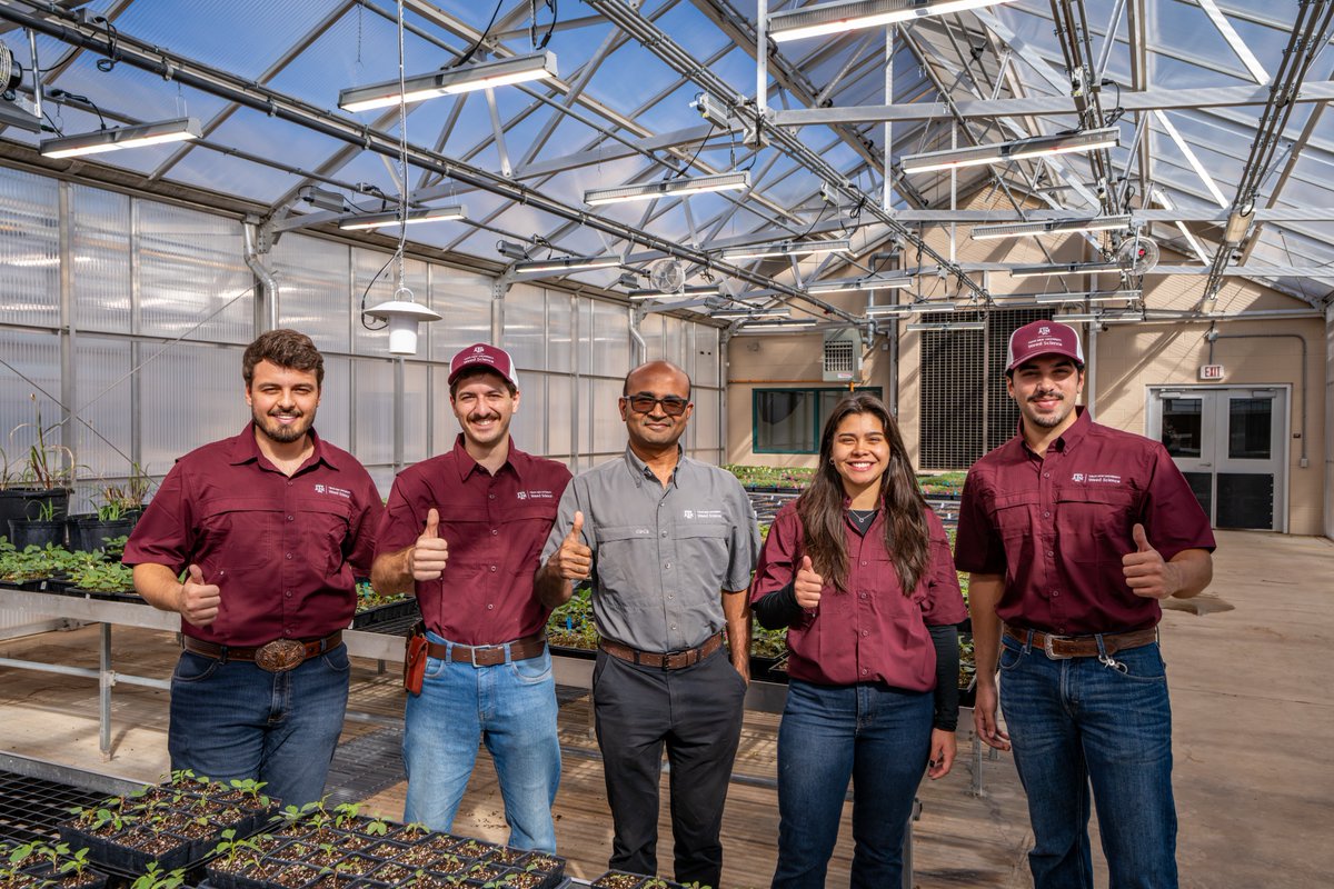 Texas A&M AgriLife Research tweet media