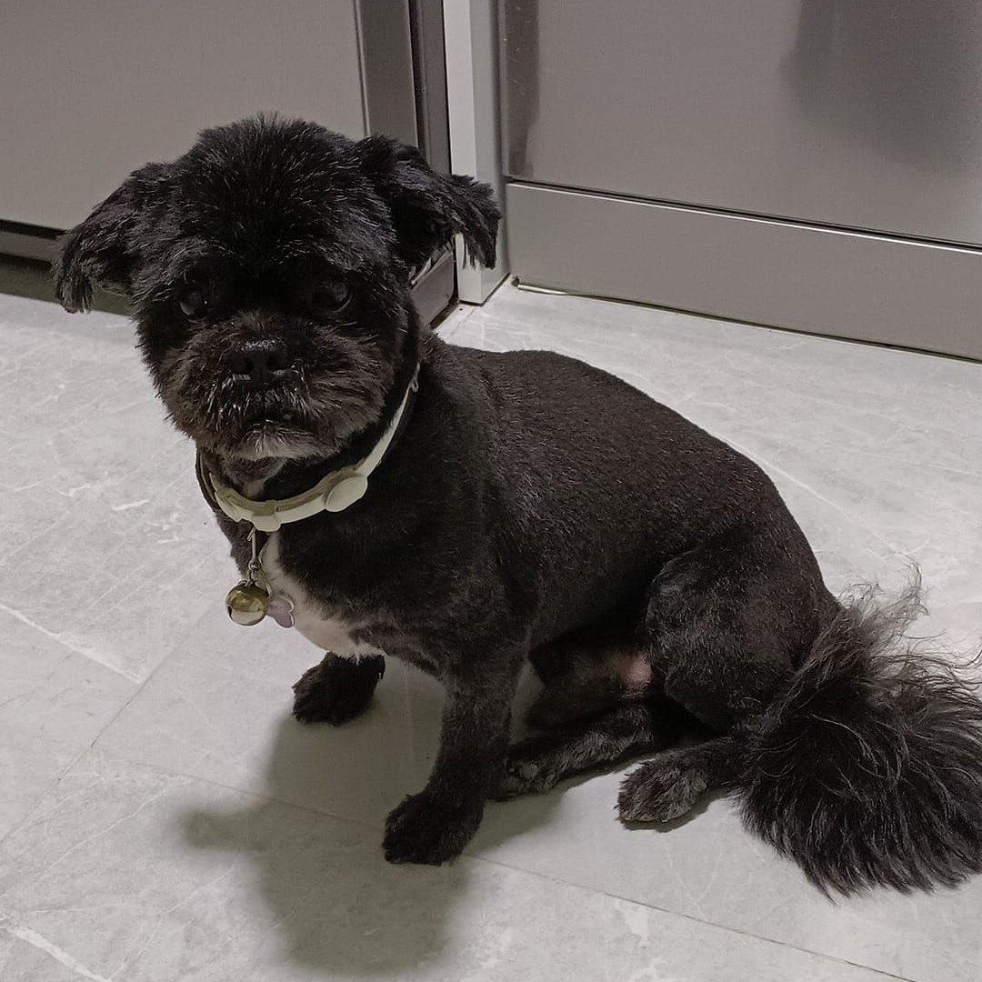 SOS Abuelos tweet media