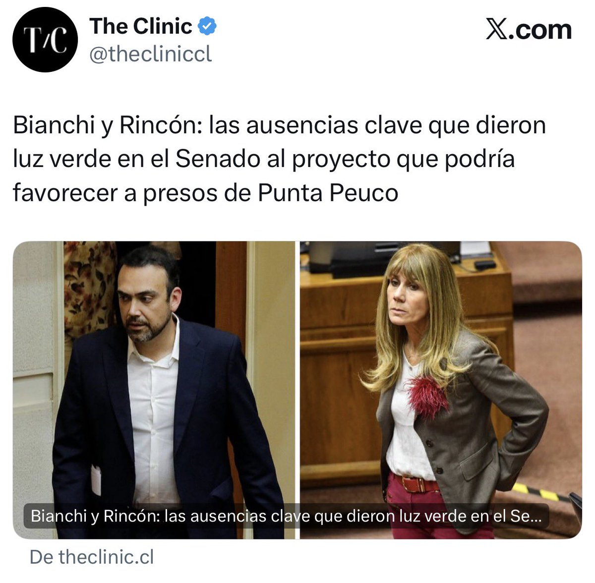 Rodrigo Saavedra tweet media