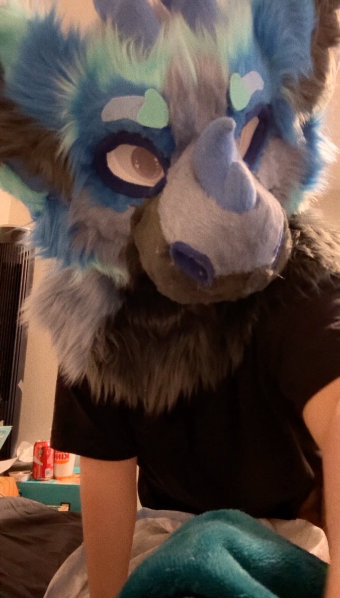 More4Smores's tweet photo. Chirp~

#fursuiter #furry #dutchangeldragon https://t.co/7aUK5z3UHj
