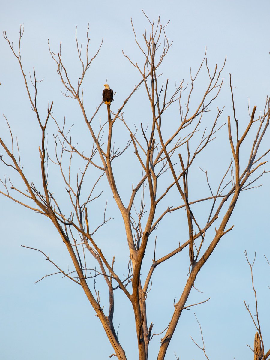 Oklahoma State Parks ⛺️ tweet media