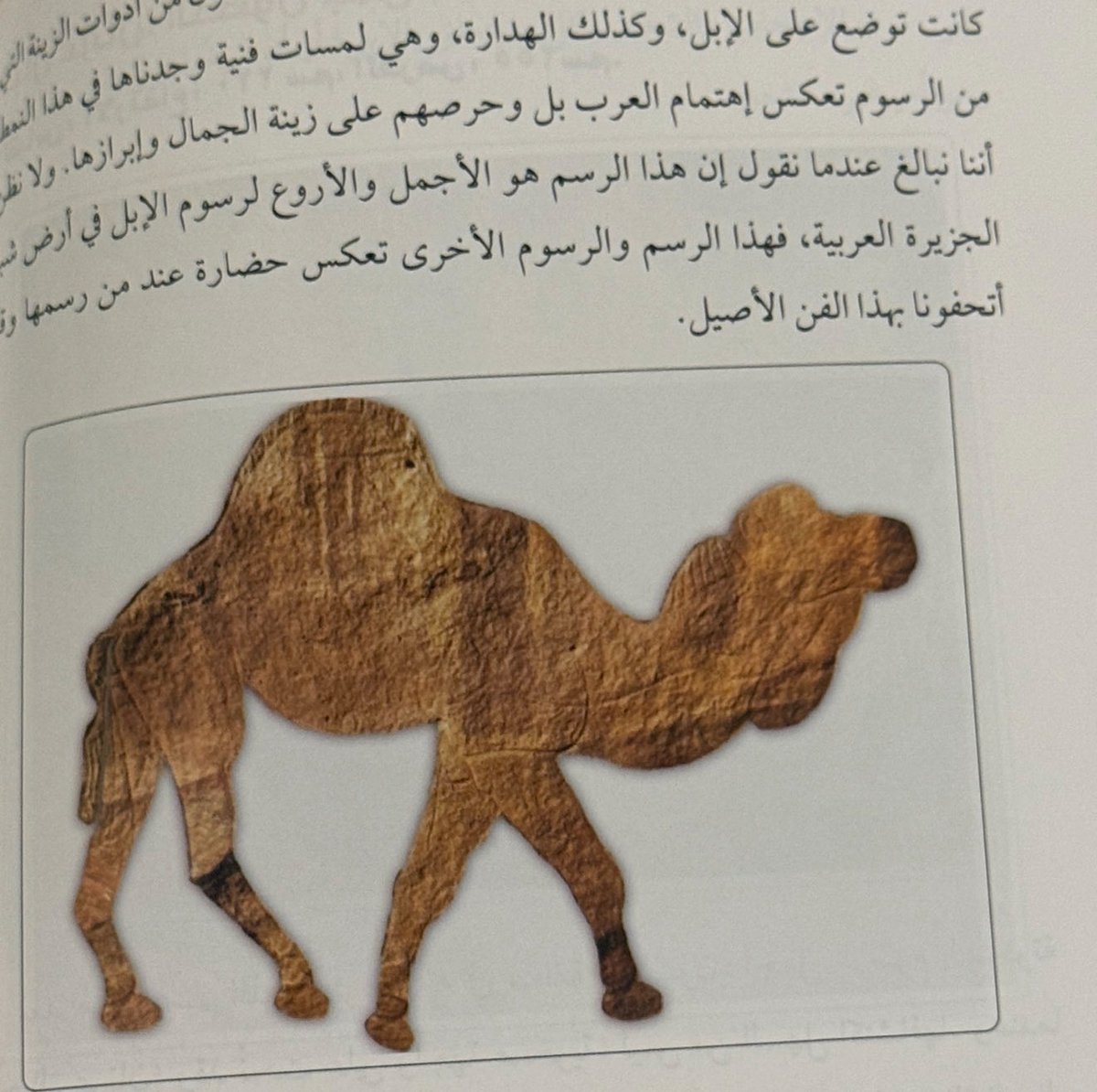 مشاري عبدالعزيز النشمي tweet media