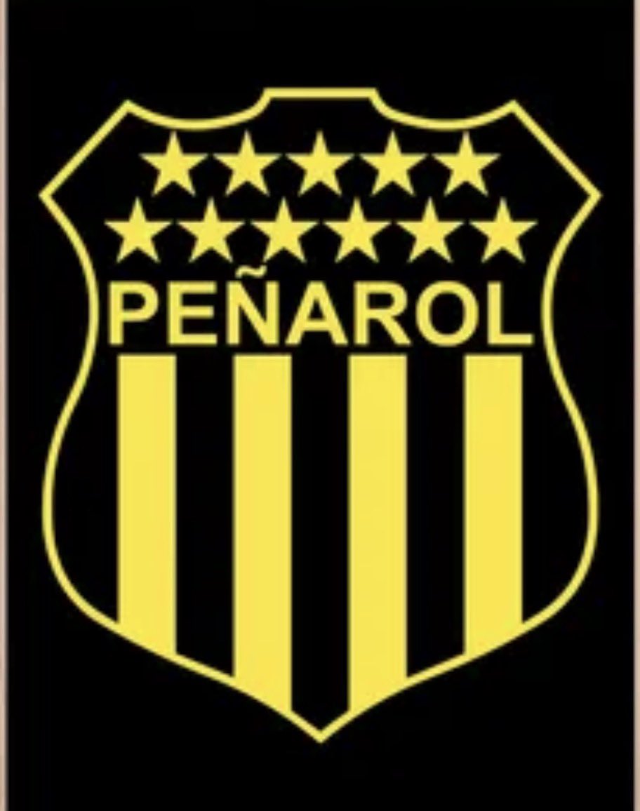 Sin estar a favor ni en contra de nadie y con el mayor de los respetos pienso q empezar a hacer campaña estando a 8 meses d las elecciones no le hace bien al club. Va para todos.  VIVA SIEMPRE PEÑAROL !!! #desesperadosxfigurar <a href="/OficialCAP/">PEÑAROL</a> #Peñarol