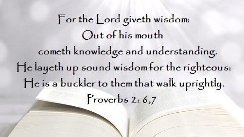 sandra2o2o's tweet photo. Intelligence can make things 
sound plausible , 

but it takes wisdom to know 
what is true ! https://t.co/YWL3PWM3lj