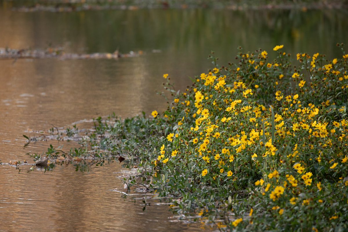 Oklahoma State Parks ⛺️ tweet media