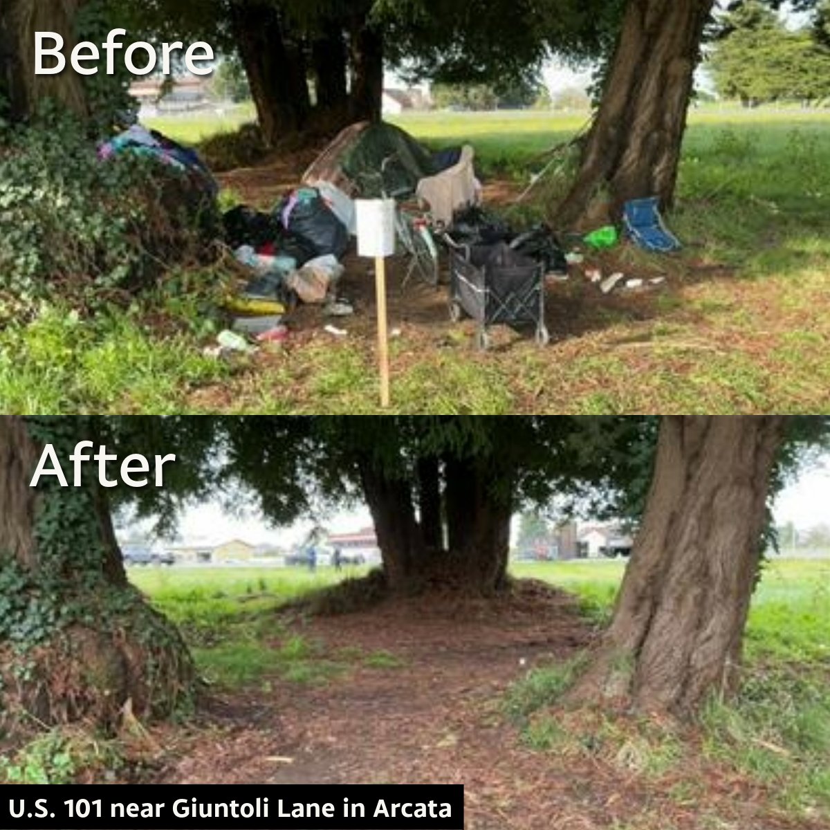 Caltrans District 1 tweet media