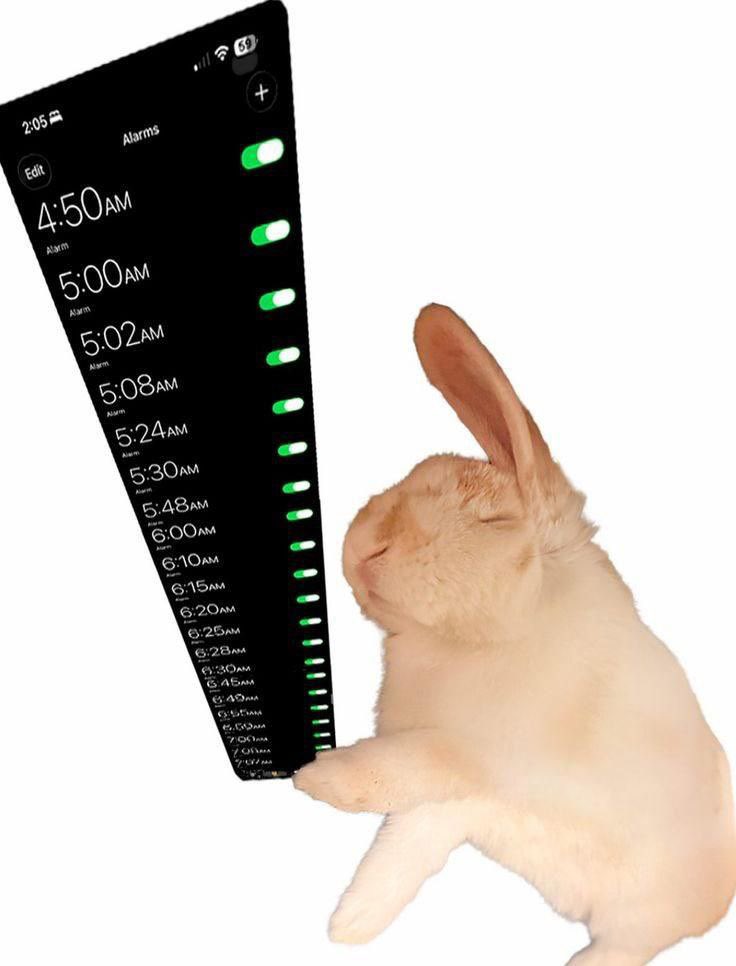 $тиль жизни💅 tweet media