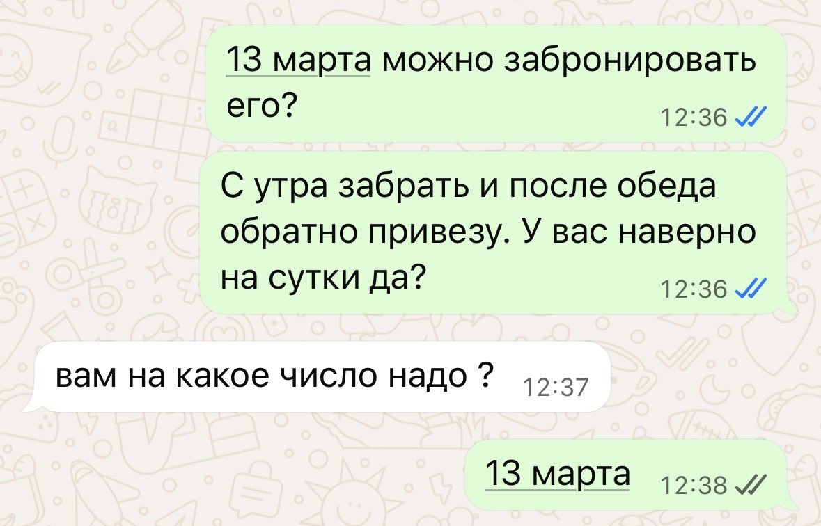 Хорошева tweet media