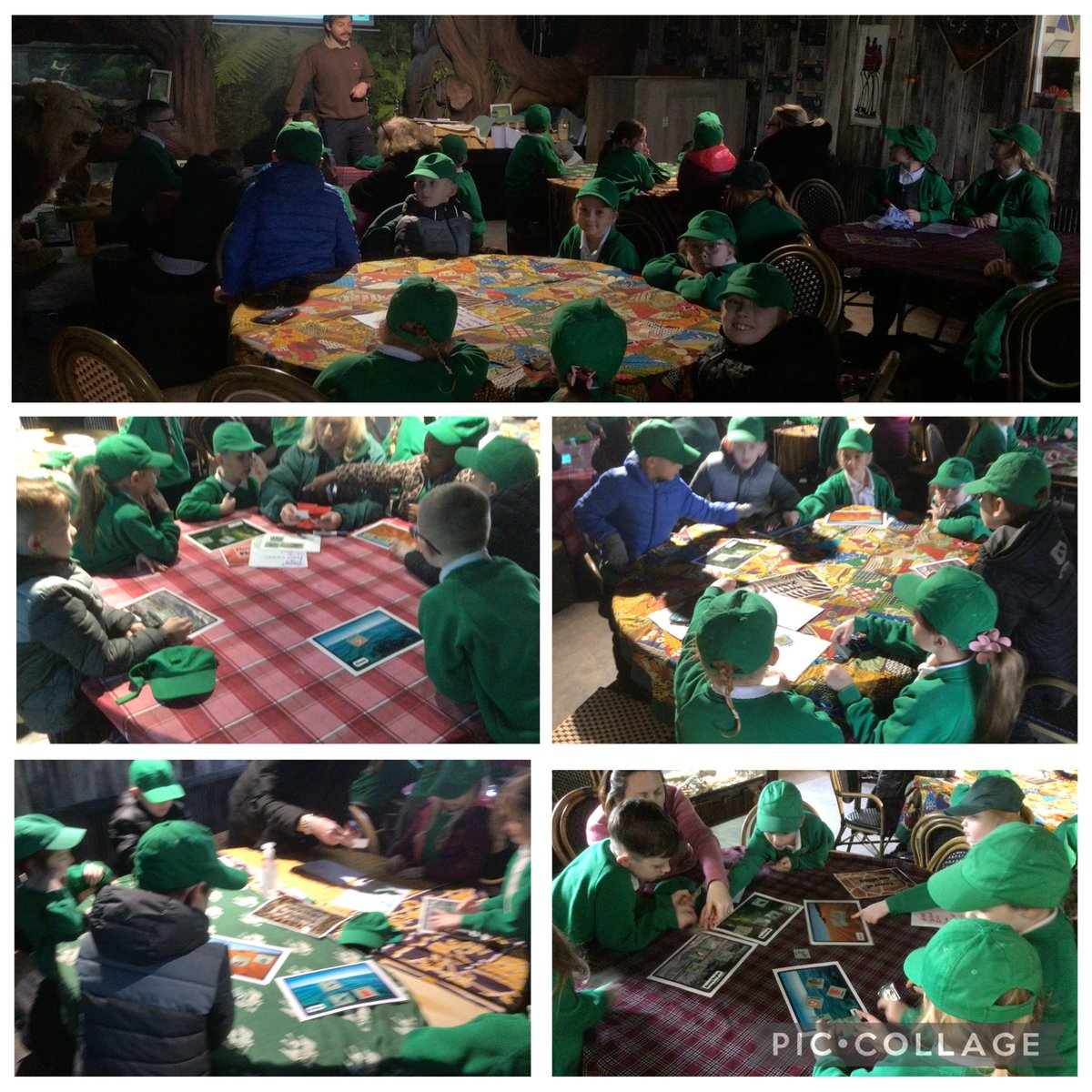 @CaldiY2 tweet media