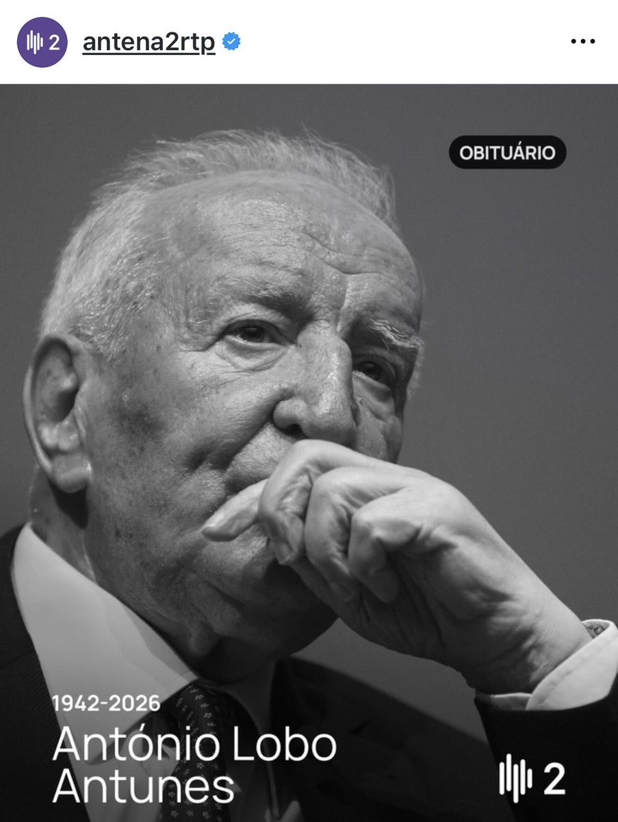 Sofia Afonso Ferreira tweet media