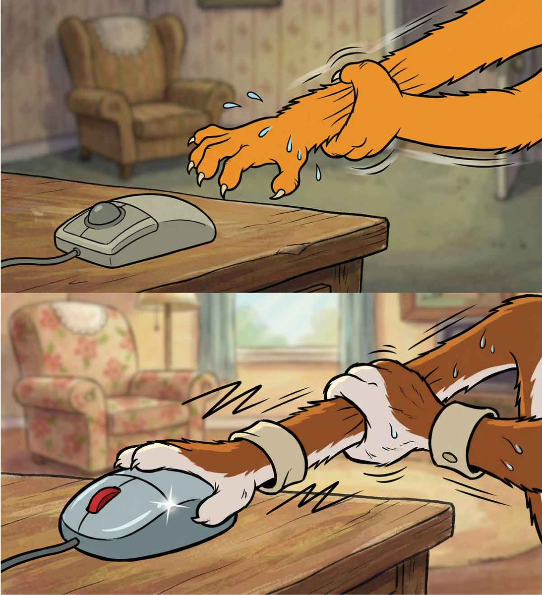 Marcia Macomber tweet media