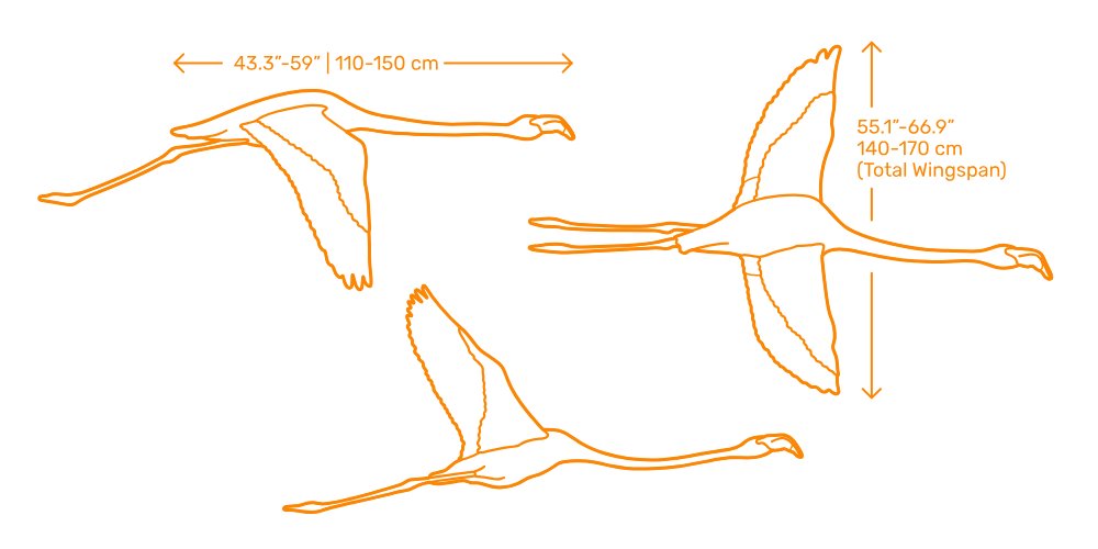 Trevor Allen 🩺 🥼 tweet media