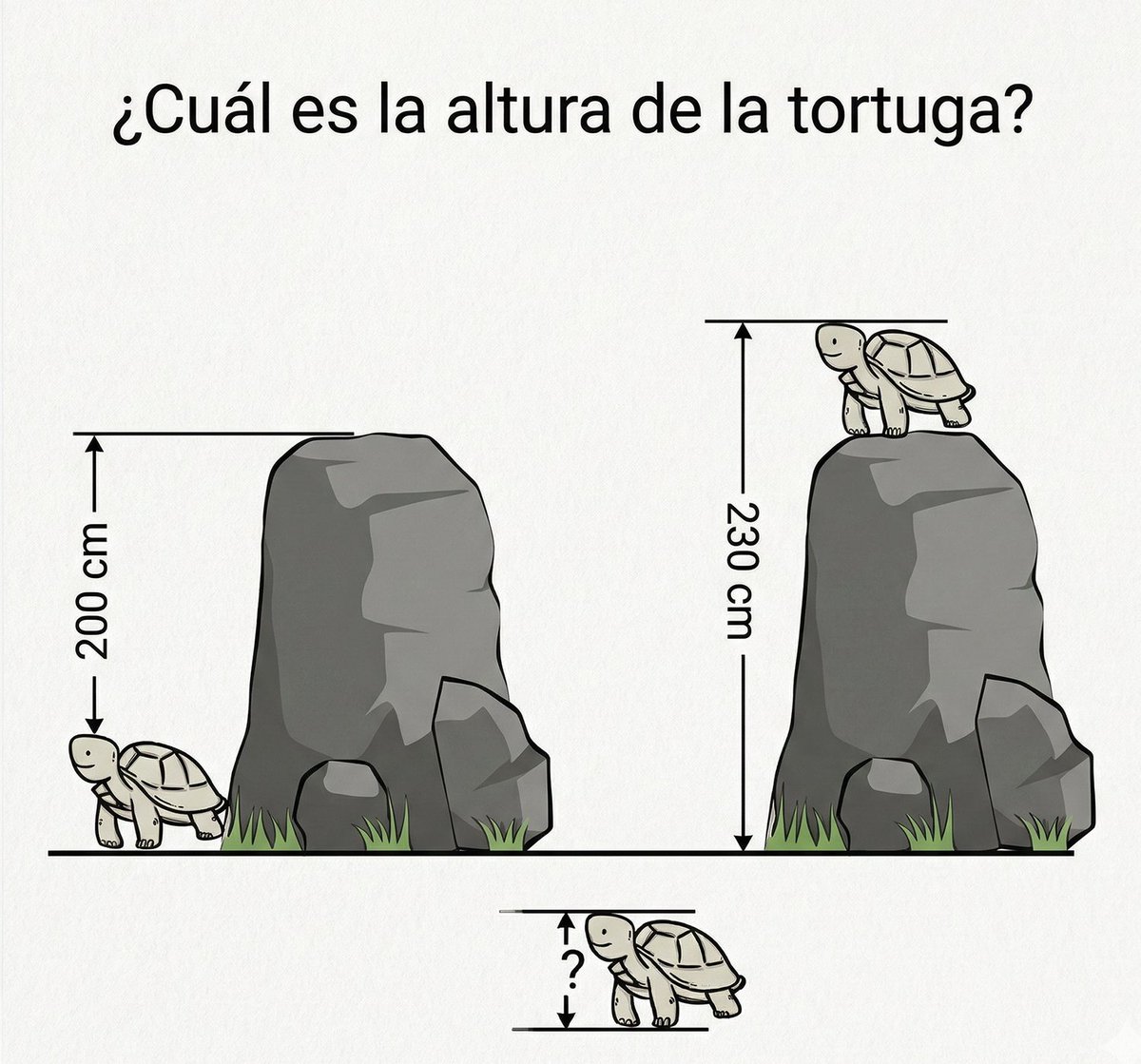 Comunidad Biológica tweet media