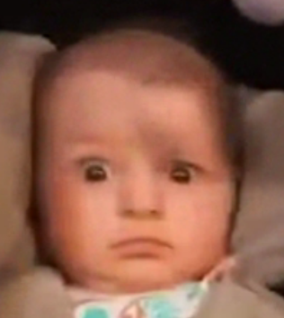 Penatron tweet media