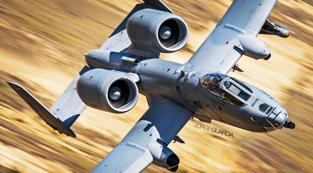 Jorge Guardia tweet media