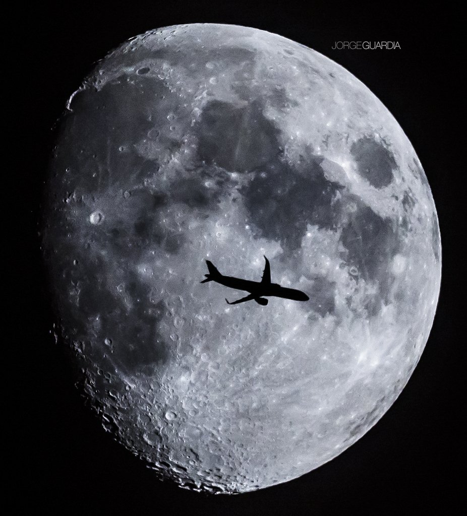 Jorge Guardia tweet media