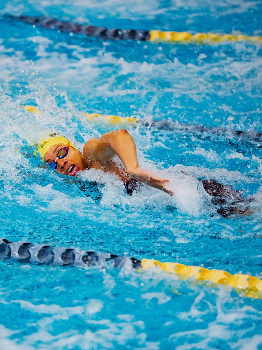 Toledo Swim&Dive tweet media