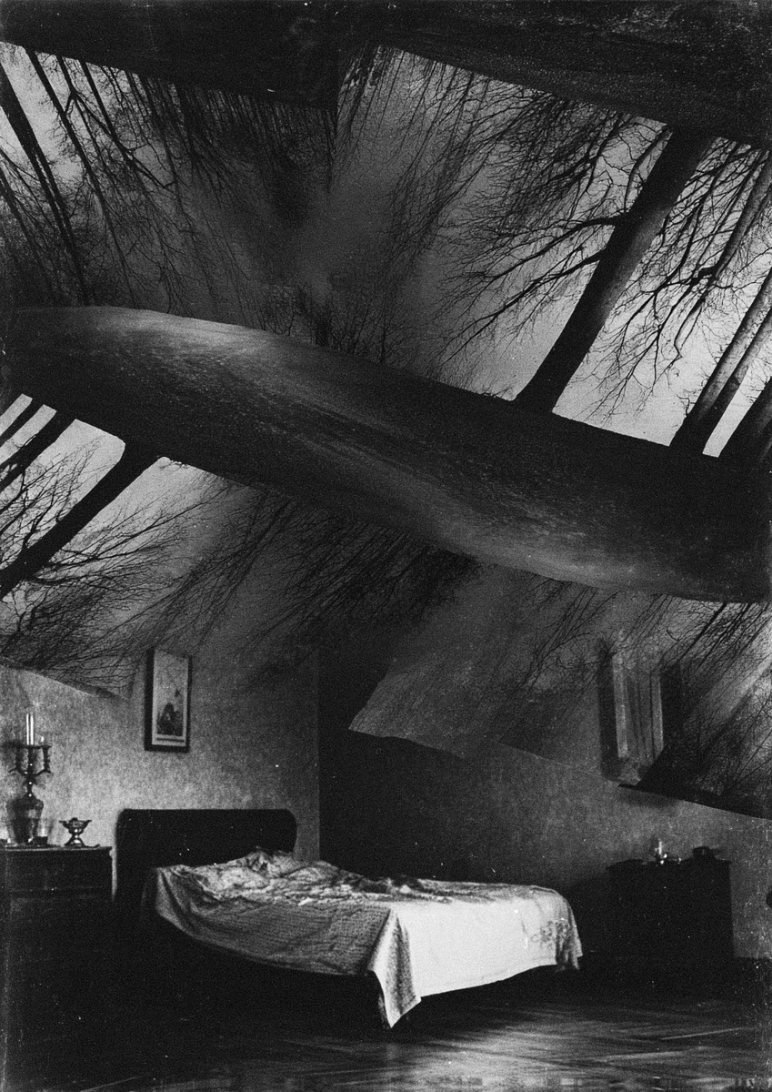 somnambula tweet media