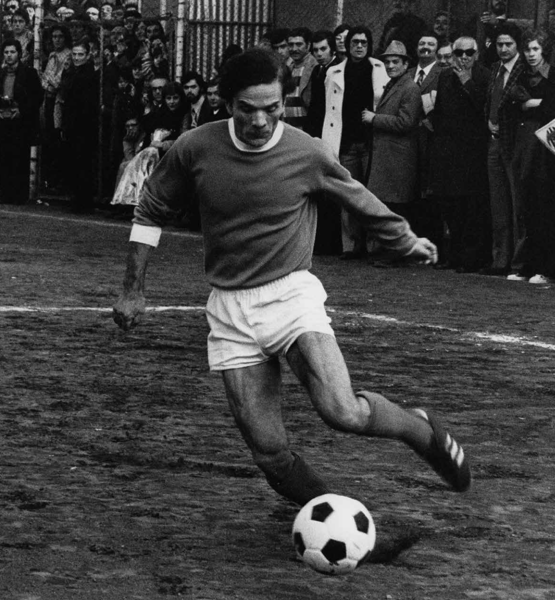 Janus Films tweet media