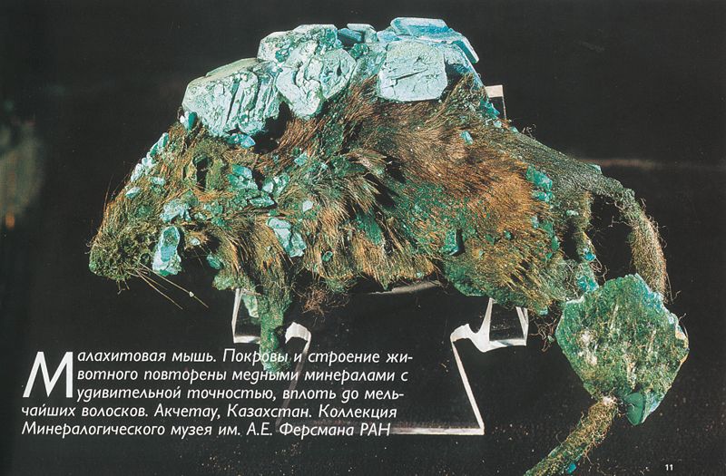 Имморальный средний класс tweet media