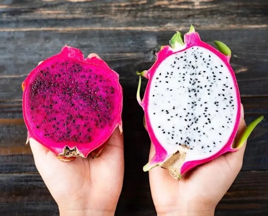 Por salir al mercado la pitaya (fruta del dragón) del noreste de Entre Rios, region de Salto Grande🇦🇷

Funcionará?