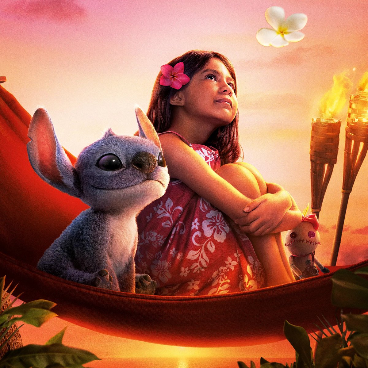 DTVA News tweet media