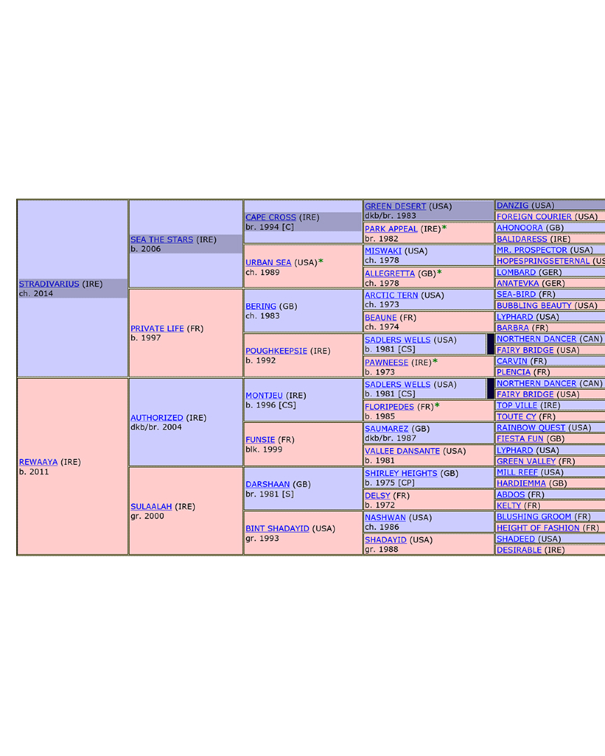 Smart Syndicate tweet media