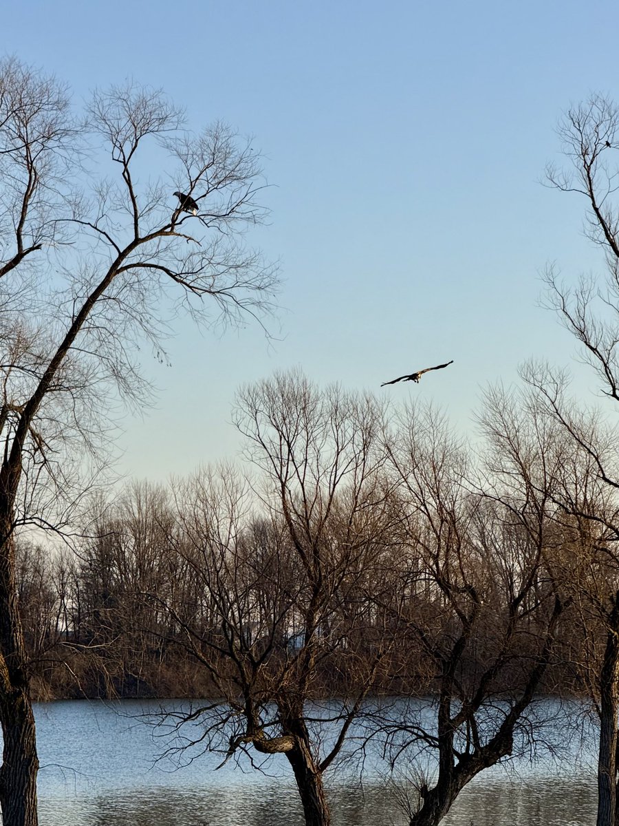 Supersonic Redhead🛫 tweet media