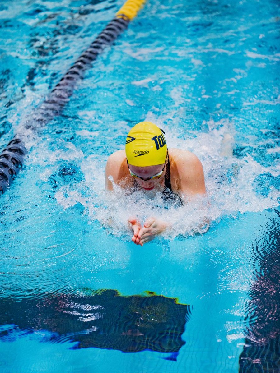 Toledo Swim&Dive tweet media
