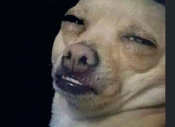 El del módulo me preguntó mi edad que porque me veo de 25 o 26... O sea gracias, pero también tampoco, no mames!!!!!!