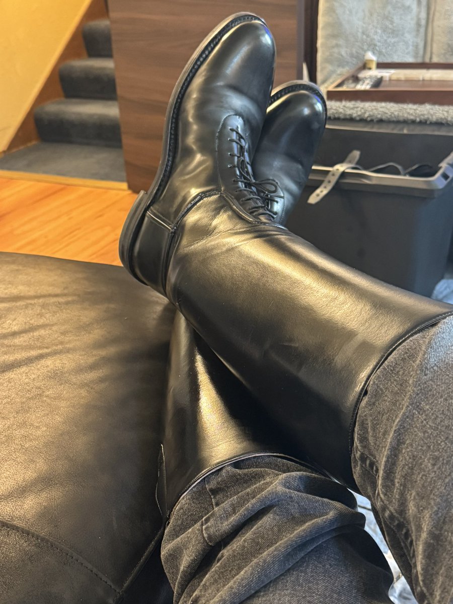 The Boot Bear tweet media