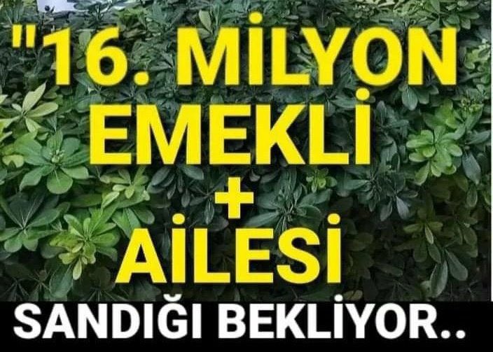 23NISAN1923's tweet photo. Cehennemin kapılarını açtınız farkında değilsiniz emekli intikamını sandıkta alacak …

 #AkpYettinEmekliyiMahvettin https://t.co/Wb9V6Dp4P1