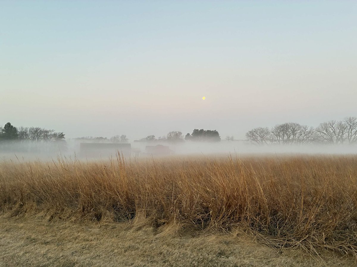Went looking for woodcock, saw ethereal beauty instead