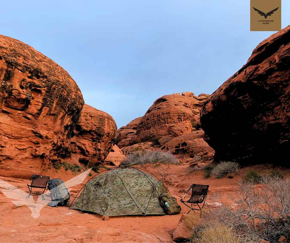 LiteFighter Gear tweet media