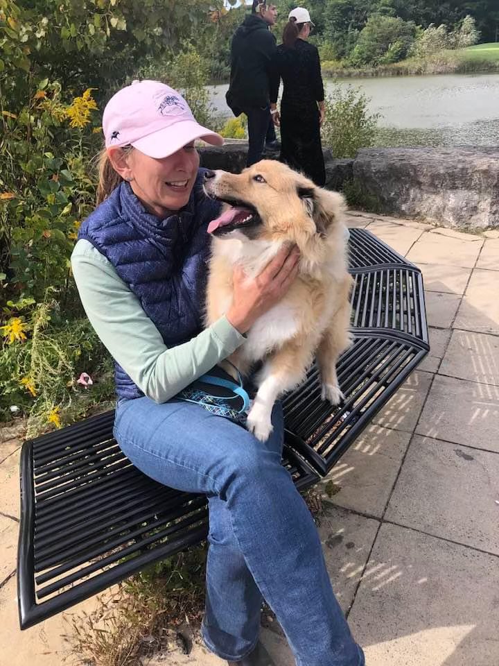 Woodbine Racetrack tweet media