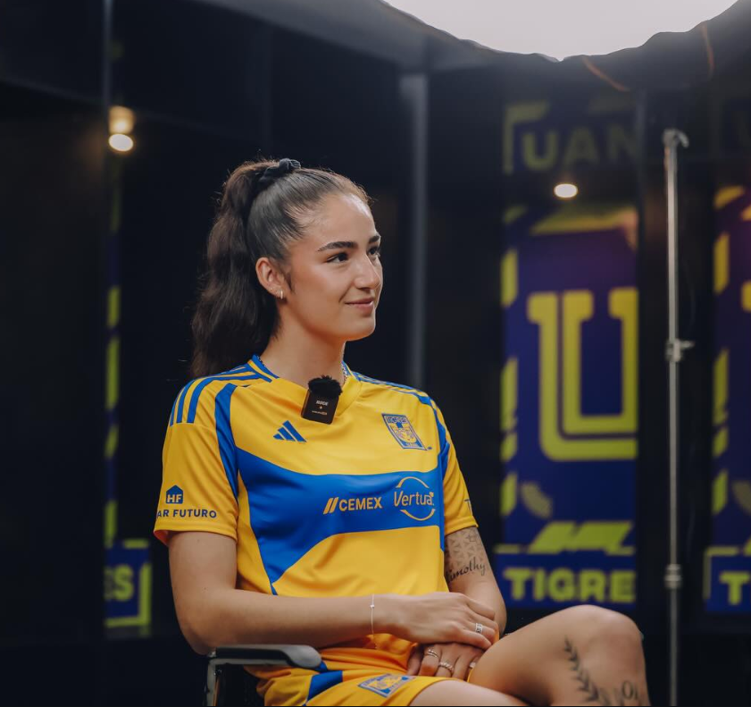 zǝñopɹO ɐuɐıᗡ tweet media