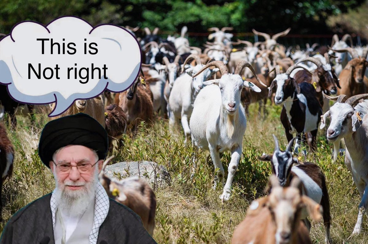 the original RC tweet media