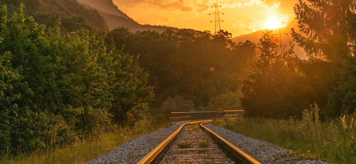 محمد بديري tweet media