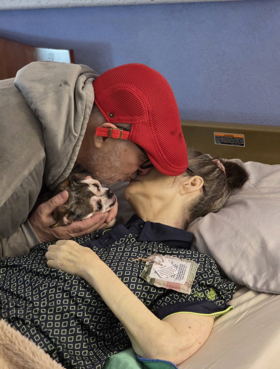 michaeljwhelan tweet media