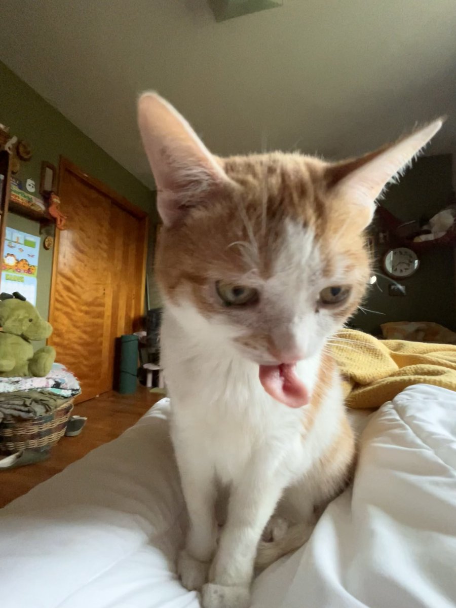 norberg & co tweet media