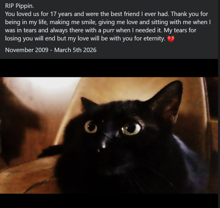 Lynlisss tweet media