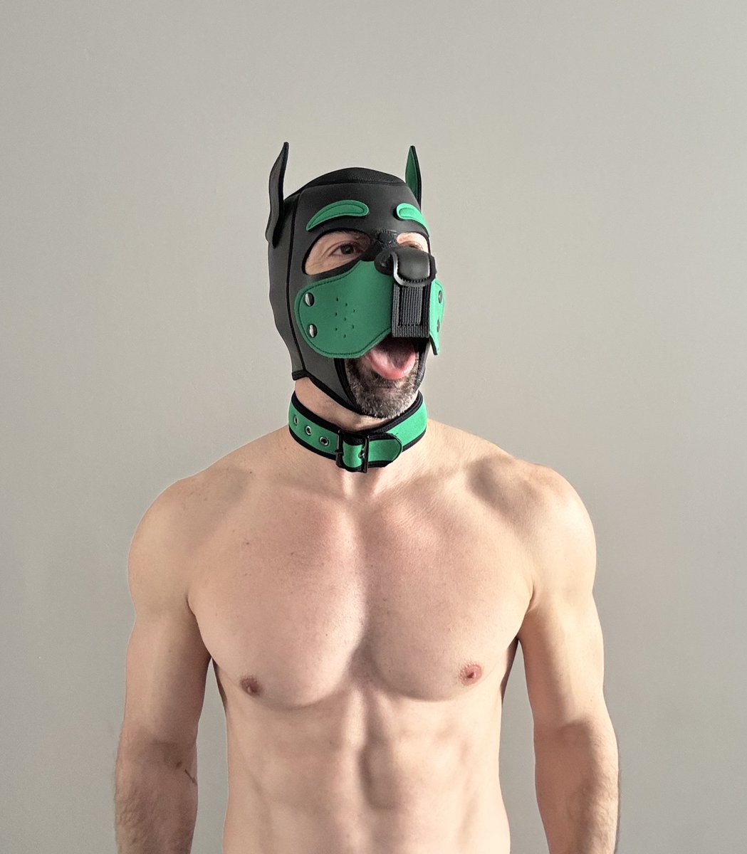 Finn's Playground (Austin Apr 2-5) tweet media